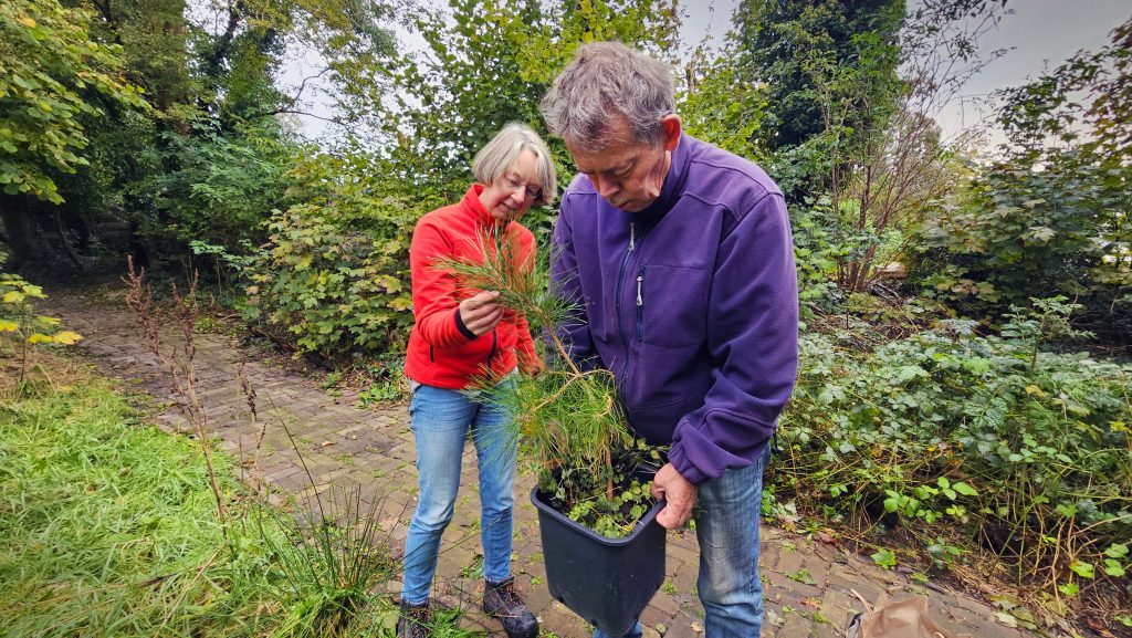 Vrijwilligers Le Roy Tuin Heerenveen